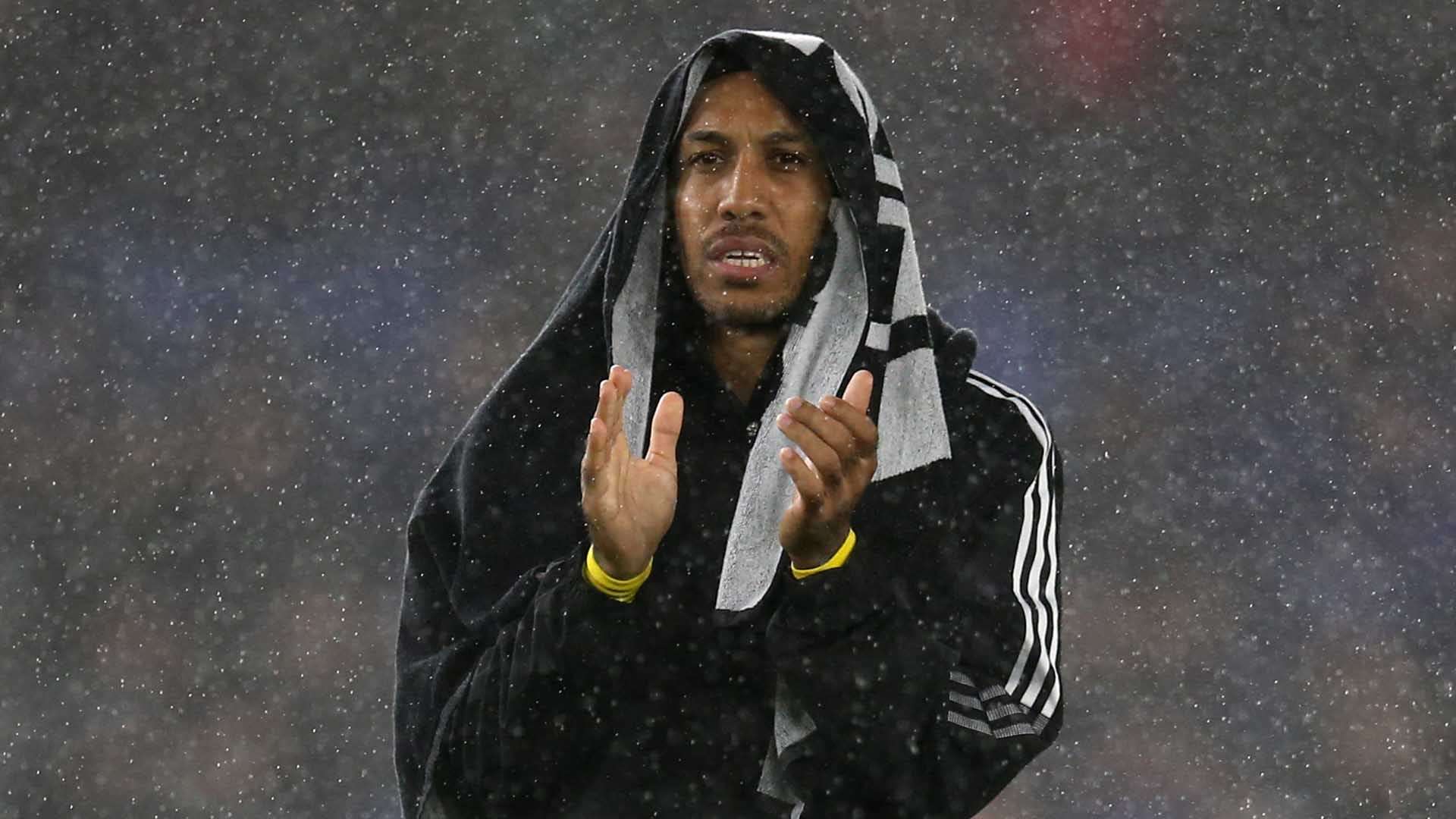 每一个合同 每一个合同